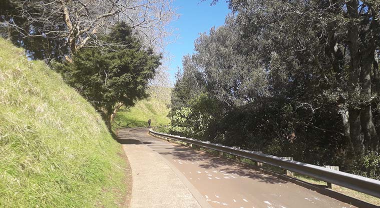 Coast to Coast Path (Grafton to Maungakiekie) – Walking up Puhi Huia Rd towards Maungawhau summit.